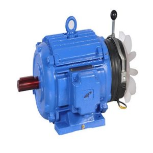 AC Brake Motor
